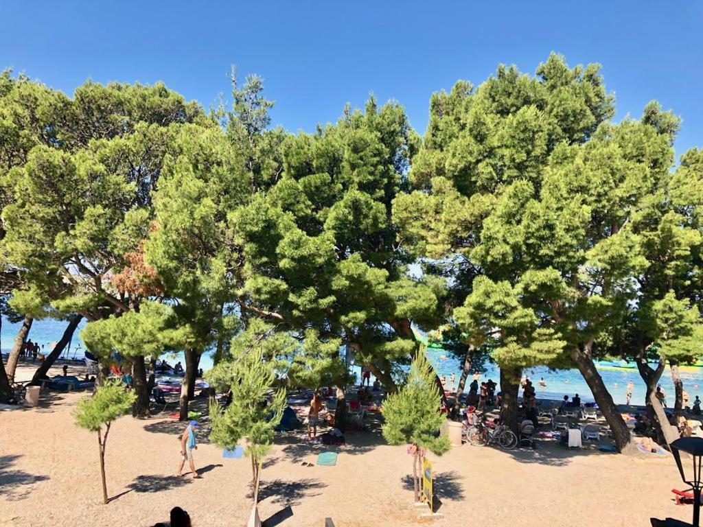 Luxury Alexandar Makarska