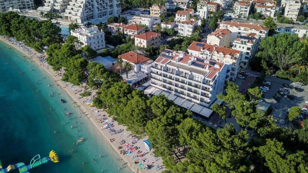 Luxury Alexandar